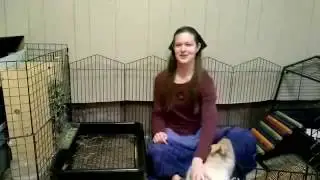 [Thich Nhat Hanh] Continuing Thay-Katie continues Thay with her bunny (Reston, Virginia, USA) -