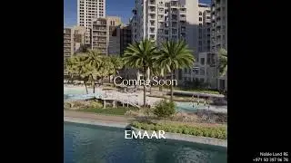 DXB Lotus