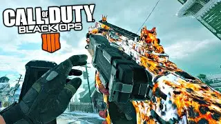 Black Ops 4 in 2021 on PC