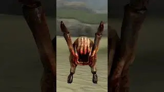 Заходи на URF!