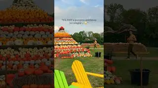 NRW-GERMANY&rsquo;S LARGEST pumpkin display 🎃 - with over 100,000 pumpkins . 📍Krewelshof, Eifel, Germany