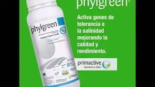Phylgreen