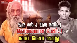 ஒரு கல்..! ஒரு நாய்..! கொலையான உயிர்..! நாய் நேசர் கைது