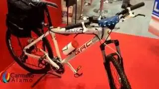 SICUR 2014