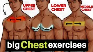Complete Chest Workout in 2 Minutes