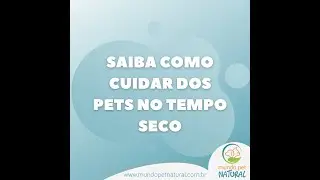 Saiba como cuidar dos pets no tempo seco!