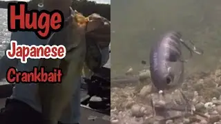 THE LARGEST JAPANESE SQUAREBILL CRANKBAIT!  THE DEPS EVOKE 4.0