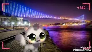 KARANTİNA SONRASI 🐾 AFTER QUARANTİNE 🐈 #vlog #quarantine #littlestpetshop #cats