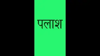 #पलाश