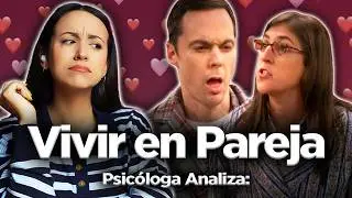 La prueba de que existe alguien para ti: Análisis del exito de Sheldon y Amy - tbbt