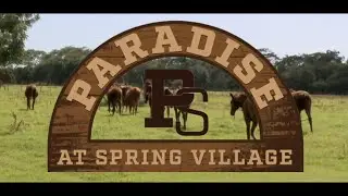 Paradise At Spring Village - 2026 Stallion Show