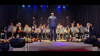 2. Ankara Mandolin Festivali DEÜ İZMİR MANDOLİN ORKESTRASI konseri