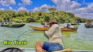 Pescaria na ponte do Trem, Muito Peixe e pescadores de toda Região