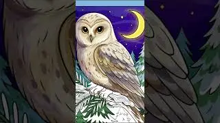 #coloring #owl