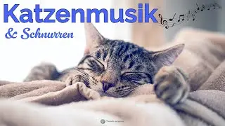 Katzenmusik zum Entspannen - beruhigende Musik für Katzen zum Einschlafen, Stressabbau & Tiefschlaf