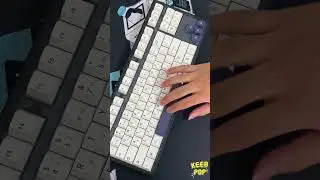 TKL 80% Keyboard | Brown Switches | Sound Test