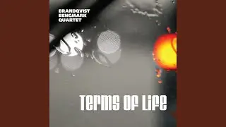 Terms of Life