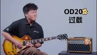Custom Dumble Clone Handwired Grand Overdrive Reverb ODR 20-Watt Head JJ Tubes-Overdrive Channel