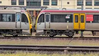 Roma Street Station Random Train SMU 288 (260) Series And SMU 292 (260) Series