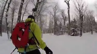 Wildcat Valley Trail Glades