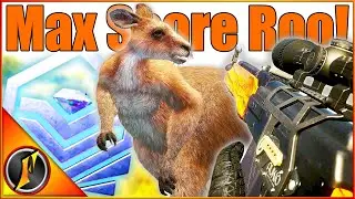 MAX SCORE DIAMOND Brown Fur Kangaroo! | theHunter Call of the Wild