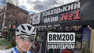BRM200 Giraffe&Pilaf | Бревет 200 км від Kyiv Bicycle Club