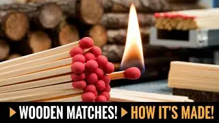 WOODEN MATCHES:How It's Made | From Tree to Tiny Firestarter!#WoodenMatches#HowItsMade #FireStarting