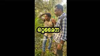 ഒറ്റമൈന - ഒരു രണ്ടാം ക്ലാസ് Noclachiya  #shorts ഒറ്റമൈനയെ കണ്ടാൽ അടിപേടി