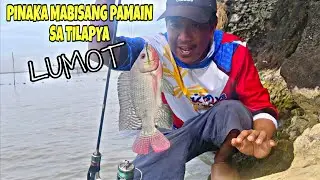 THE BEST TALAGA PAMAIN ANG LUMOT SA TILAPYA 