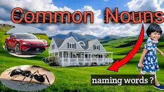 Common Nouns / English grammar tutorial  for kids and beginners & olgaTVEnglish 