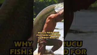 Why Pirarucu Fish Skin is a Thing for Cowboy Boots
