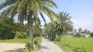 গাছ গাছালিতে ঘেরা শান্ত-শীতল পরিবেশে সুন্দর একটি গ্রাম #vlog #village  #trending