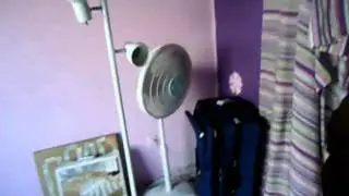 MOV03528