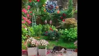 What's kind of yard will makes you feel relax?  Spinchime Blue Leaves Windmill Ground Plug Garden