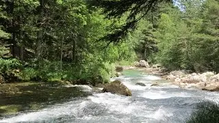 BALADE Vall&eacute;e de  la Souloise,les Gillardes