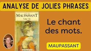 ANALYSE DE JOLIES PHRASES : Maupassant, 