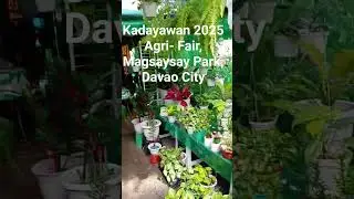 Kadayawan 2025 Agri Fair #ytshorts #agrifair #Kadayawan2025 #travel