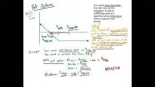 2. Put Option