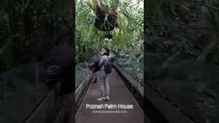 Poznan Palm House - Poland
