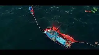 FoodAg 2025: Мега-событие агропродовольственной отрасли Пакистана | 25&ndash;27 ноября | Более 400 эксп...