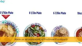 Dixie Everyday Paper Plates,10 1/16