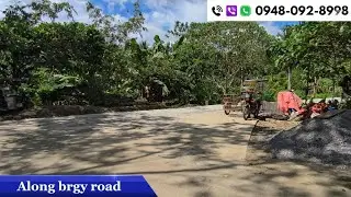 (Vlog#105) 4,594 Sqm farm lot Along the road  Loc. Lopez quezon!