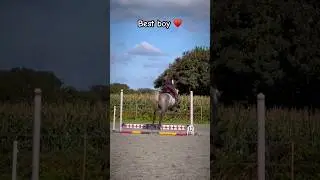Best boy &hearts;️ #horse #pony #horseriding #equestrian #horserider #riding #horsegirl #equine #horsegirls