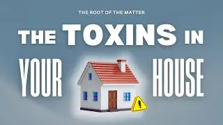 Is Your House Making You Sick? The Hidden Toxins Inside Your Home | Non-Toxic Living Tips