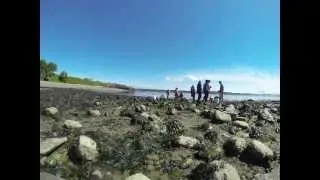 Cattle Point