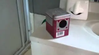 TAZO TEA BOX MINI 9V AMP