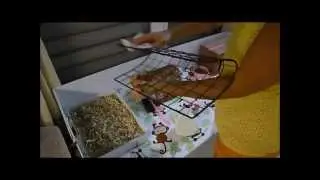 Cómo limpiar la jaula de un cobayo (cuyo, cobaya) y el agua - con el sistema de tela polar - Video 7