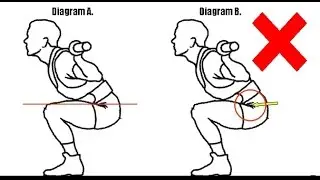HOW LOW SHOULD YOU SQUAT? (And The Truth About Butt Wink)