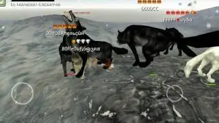 Селфи из wolf online