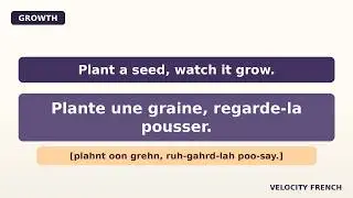 Learn French in 3 Minutes | Growth Phrases Every Beginner NEEDS to Know! (Growth)